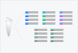 Single-tube Multiplex PCR