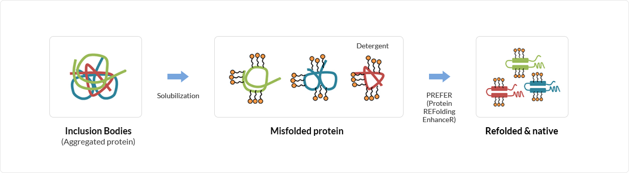Protein REFolding EnhanceR Technology (PREFER)