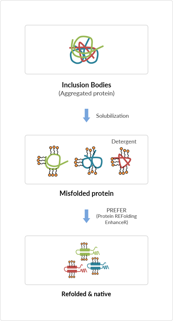 Protein REFolding EnhanceR Technology (PREFER)